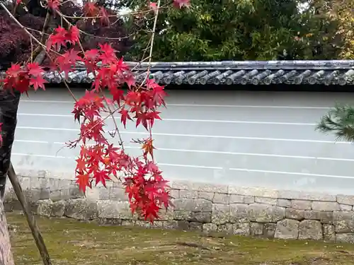 仁和寺(京都府)