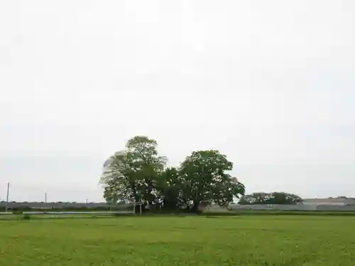 神明神社(千葉県)