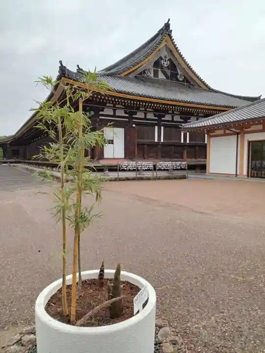 蓮華王院(三十三間堂)(京都府)