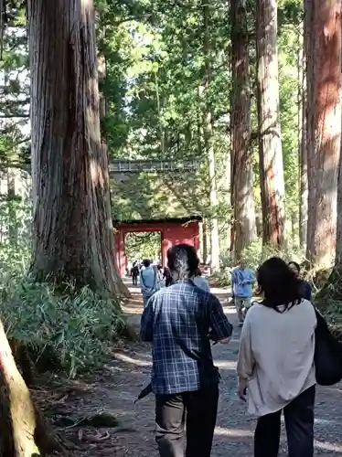 戸隠神社奥社の御朱印