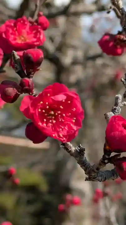 智積院(京都府)