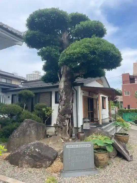 応願寺(栃木県)