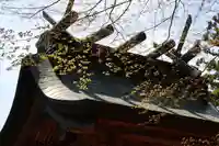 三春大神宮の本殿・本堂