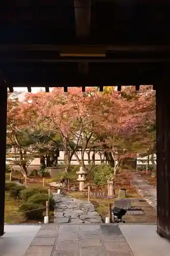鹿王院(京都府)