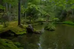 西芳寺の庭園