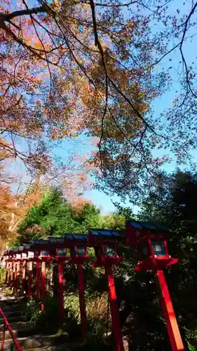 貴船神社の自然