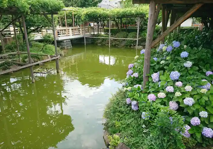亀戸天神社の庭園