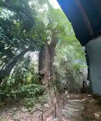 姫大神社(奈良県)