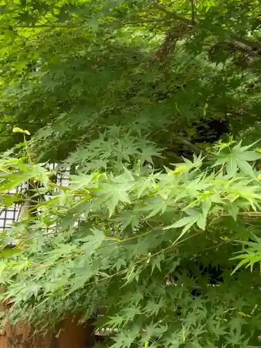 本土寺(千葉県)