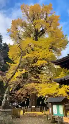 水戸八幡宮(茨城県)