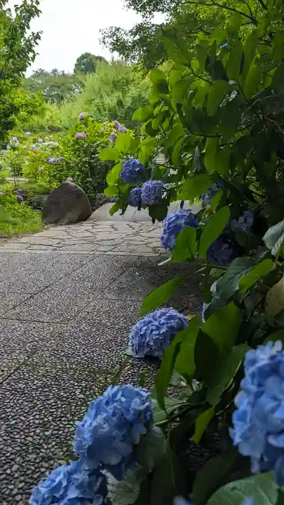 智積院(京都府)