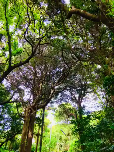玉崎神社(千葉県)