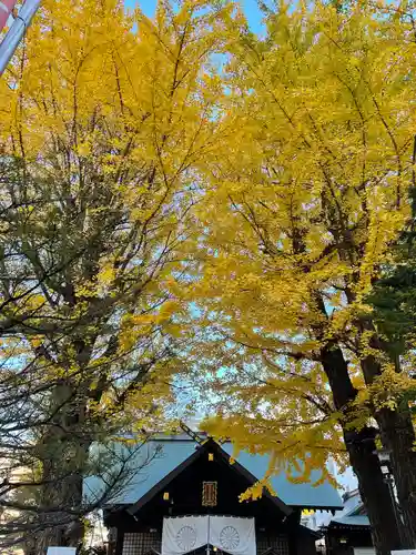 北海道神宮頓宮の自然