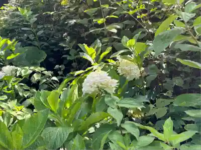 瑞雲院(山形県)