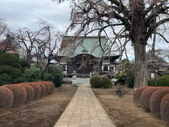 圓藏院(埼玉県)