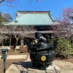 豪徳寺(東京都)