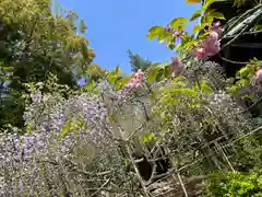 子鍬倉神社の自然