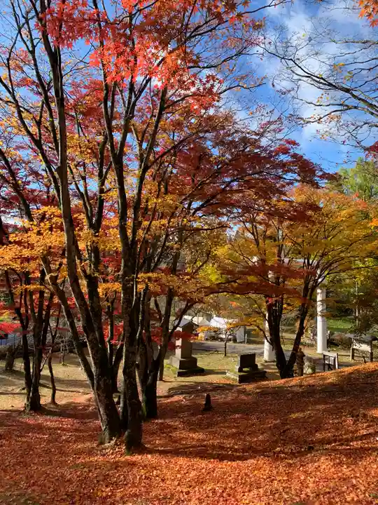 土津神社|こどもと出世の神さまの自然