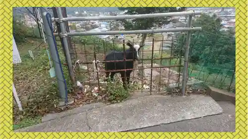 賀茂別雷神社(栃木県)