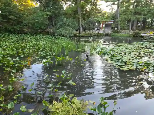 金澤神社(石川県)
