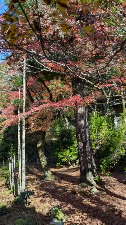 吟松寺(京都府)