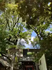 赤坂氷川神社の鳥居