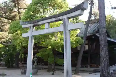 今宮神社(京都府)