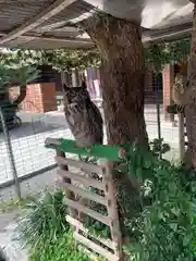 宮地嶽神社(福岡県)