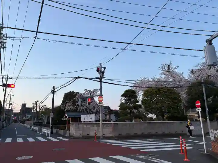 善福寺の{uncategorized: "未分類", other: "その他", undefined: "問題あり", building: "その他建物", grave: "お墓", sacred_gate: "鳥居", guardian: "狛犬", statue: "像", buddha: "仏像", history: "歴史", nature: "自然", garden: "庭園", animal: "動物", pagoda: "塔", temizu: "手水舎", mountain_gate: "山門・神門", sanctuary: "本殿・本堂", subordinate: "末社・摂社", art: "芸術", scenery: "景色", jizo: "地蔵", ema: "絵馬", goshuin: "御朱印", omikuji: "おみくじ", items: "授与品その他", amulet: "お守り", goshuincho: "御朱印帳", eats: "食事", festival: "お祭り", votive_dance: "神楽", shichigosan: "七五三参", wedding: "結婚式", experience: "体験その他", initially: "初詣", around: "周辺", anti_infection: "感染症対策"}