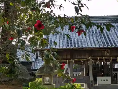 大井神社の{uncategorized: "未分類", other: "その他", undefined: "問題あり", building: "その他建物", grave: "お墓", sacred_gate: "鳥居", guardian: "狛犬", statue: "像", buddha: "仏像", history: "歴史", nature: "自然", garden: "庭園", animal: "動物", pagoda: "塔", temizu: "手水舎", mountain_gate: "山門・神門", sanctuary: "本殿・本堂", subordinate: "末社・摂社", art: "芸術", scenery: "景色", jizo: "地蔵", ema: "絵馬", goshuin: "御朱印", omikuji: "おみくじ", items: "授与品その他", amulet: "お守り", goshuincho: "御朱印帳", eats: "食事", festival: "お祭り", votive_dance: "神楽", shichigosan: "七五三参", wedding: "結婚式", experience: "体験その他", initially: "初詣", around: "周辺", anti_infection: "感染症対策"}