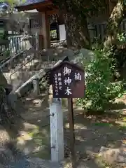 加納天満宮の建物その他