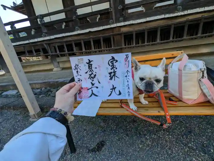 西教寺の御朱印