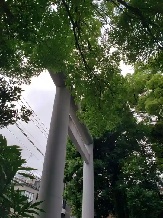 阿佐ヶ谷神明宮(東京都)