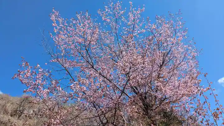 金刀比羅神社(北海道)