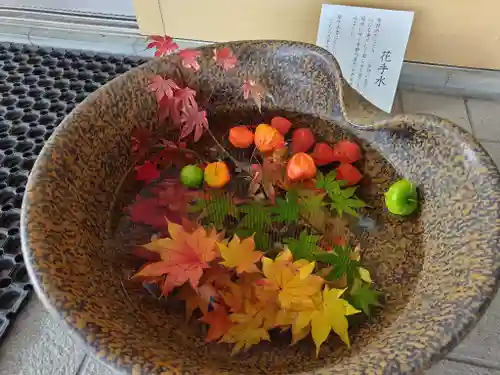 美瑛神社の手水舎