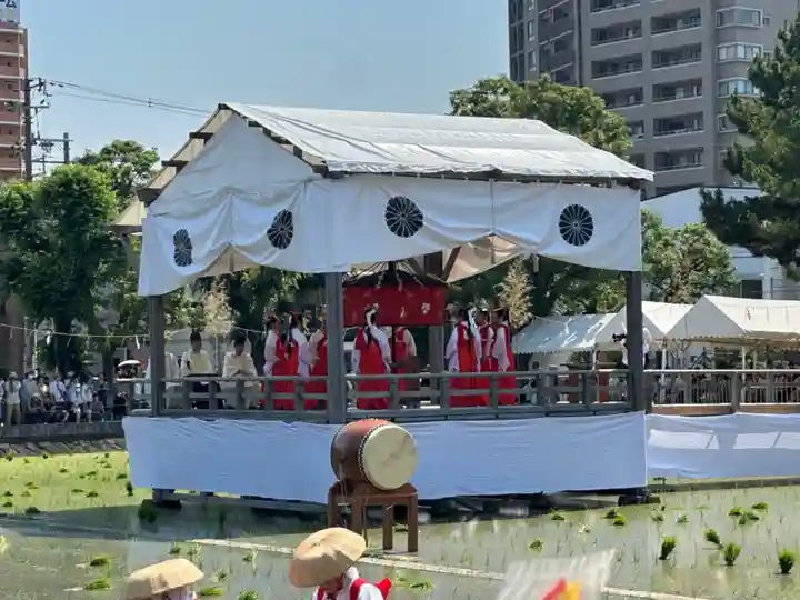 住吉大社(大阪府)