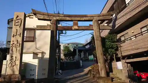 白山神社の鳥居