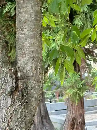 石雲寺(福島県)