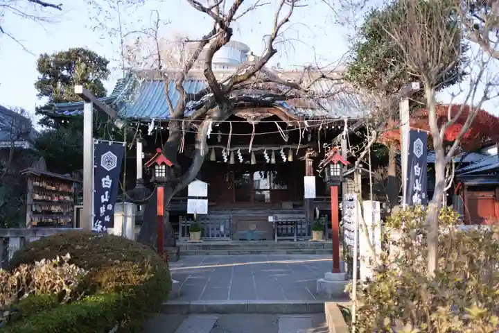 白山神社(東京都)