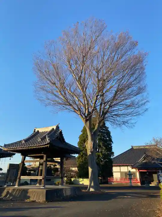 無量寺のその他建物