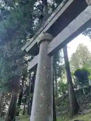 大宮温泉神社の鳥居