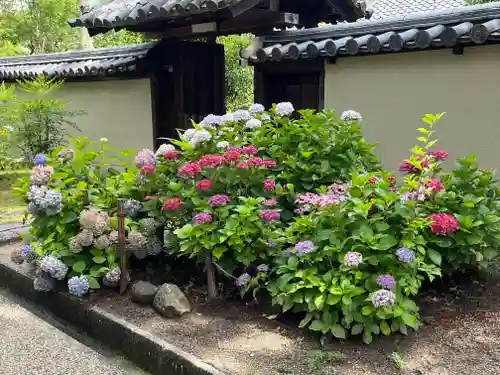 西大寺(奈良県)