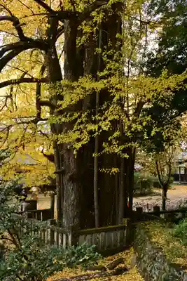 瑞応寺(愛媛県)