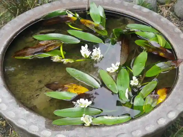 大巧寺(神奈川県)