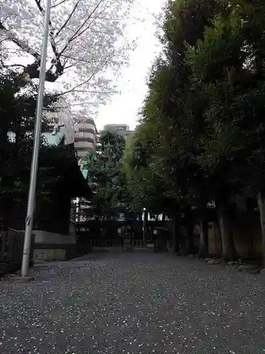 天祖神社の自然