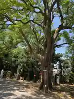 最勝寺教学院の自然