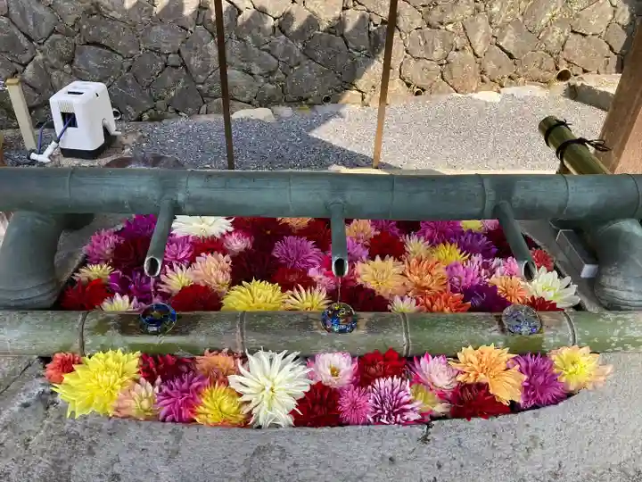 岡寺(龍蓋寺)(奈良県)