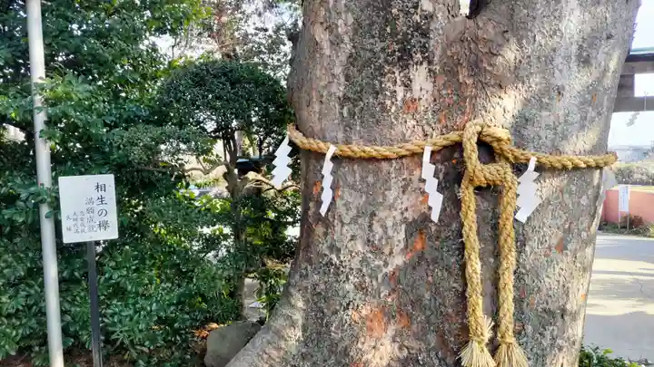 比々多神社(神奈川県)