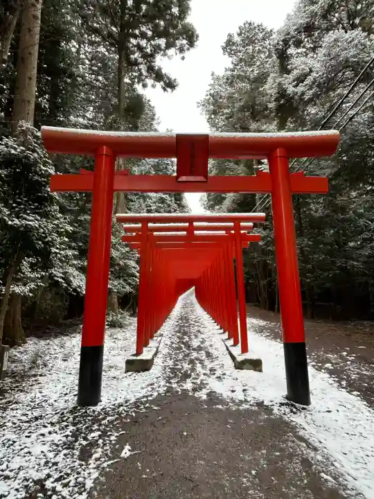 美濃國一宮 南宮大社の{uncategorized: "未分類", other: "その他", undefined: "問題あり", building: "その他建物", grave: "お墓", sacred_gate: "鳥居", guardian: "狛犬", statue: "像", buddha: "仏像", history: "歴史", nature: "自然", garden: "庭園", animal: "動物", pagoda: "塔", temizu: "手水舎", mountain_gate: "山門・神門", sanctuary: "本殿・本堂", subordinate: "末社・摂社", art: "芸術", scenery: "景色", jizo: "地蔵", ema: "絵馬", goshuin: "御朱印", omikuji: "おみくじ", items: "授与品その他", amulet: "お守り", goshuincho: "御朱印帳", eats: "食事", festival: "お祭り", votive_dance: "神楽", shichigosan: "七五三参", wedding: "結婚式", experience: "体験その他", initially: "初詣", around: "周辺", anti_infection: "感染症対策"}