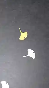 日蓮宗 総本山 塔頭 定林坊(じょうりんぼう)(山梨県)(2020年11月10日(火) 11時30分30秒投稿)